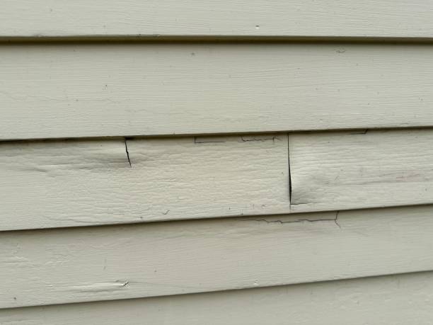 Best Wood Siding Installation  in USA